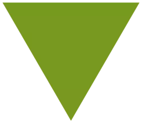 1.webp