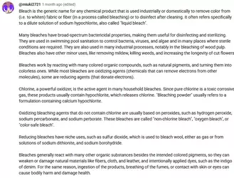 clorox copypasta.webp