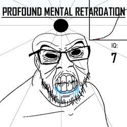 iq7.webp