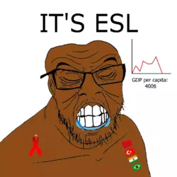 1744855190340.webp
