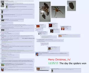 spiders.webp