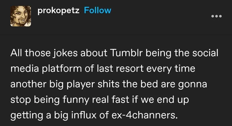 Screenshot 2025-04-16 at 22-08-40 Screenshot_20250416_112139_Tumblr.jpg (WEBP Image 1080 × 59...webp