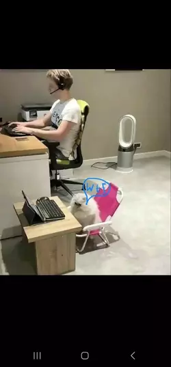 1744875720267.webp