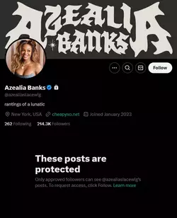 Screenshot 2025-04-17 at 12-24-16 Azealia Banks (@azealiaslacewig) _ X.webp
