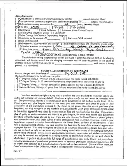 06-06-2011_-_plea_agreement-waiver_of_jury_-_f1100020_-_209-2.webp