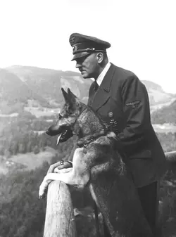 dog-and-hitler.webp