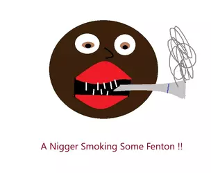 niggerfentonmeme.webp