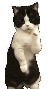 cat-dance-dancing-nobg.gif