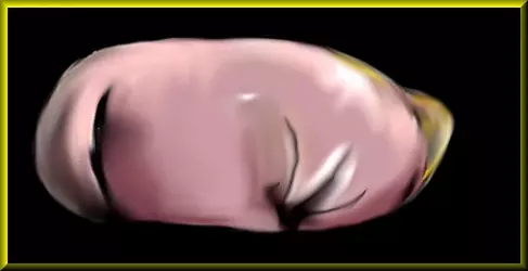 mysterious_potato_painting_by_windowsmillenium2000-d8rp5wp.webp