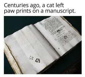 491569226_17883042618267118_6810732242569261106_n.webp