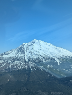 2025-04-19_14-13.webp
