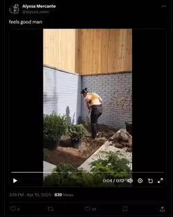 1745103748697.webp