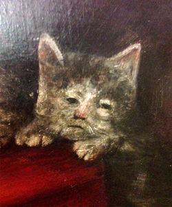 CatsCool2.webp