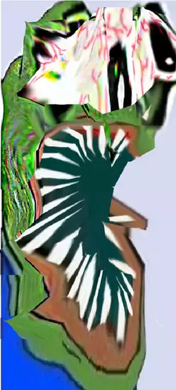 1740682900955k.webp