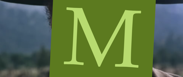 4.webp
