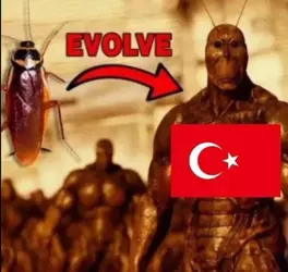 EVOLVE.webp