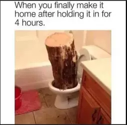 taco_bell_toilet_by_quinnisdabest_diqy7wz-fullview.webp
