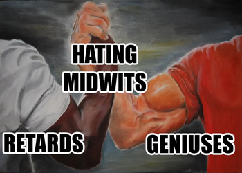 hatemidwit.webp