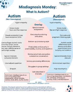 Autism+in+adult.webp