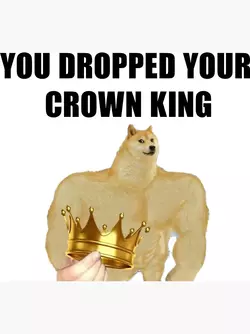 1716007139827904.webp