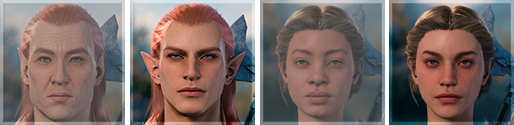 head_changes.webp