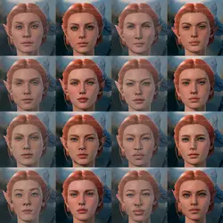 ELf-F-ALL.webp