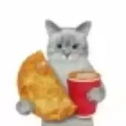 1742354034809302.webp