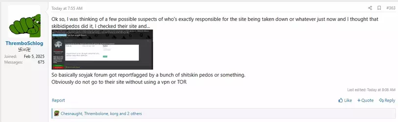 dfdfvs.webp