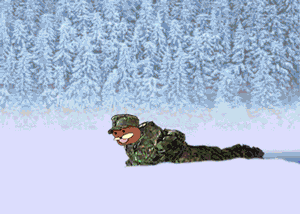 1535924818866.gif