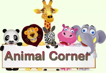 animalcorner.webp