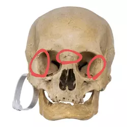1745255349242.webp