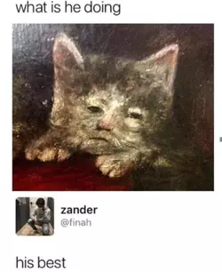 -5082620786228963949_121.webp