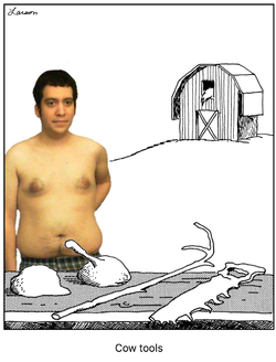 cowtools.webp