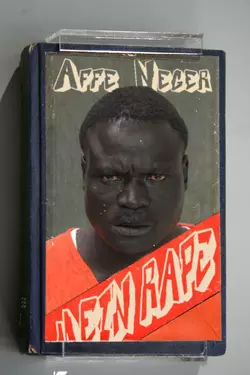NIGGERS CANNOT BE FIXED -- THUS, THEIR SAVAGERY MUST BE HIDDEN.webp