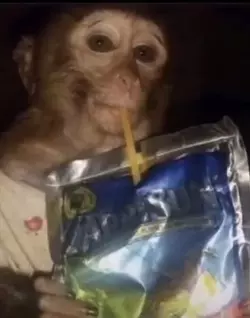 CapriSun.webp