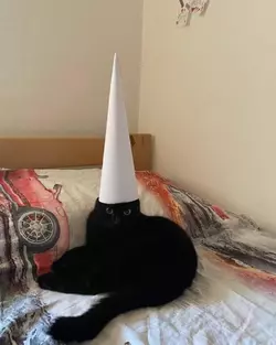 ku klux kat.webp