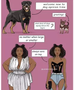dog opinion time.webp