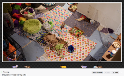 Screenshot 2025-04-22 154027.webp