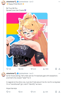obgaytiekat1.webp