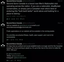 brave_screenshot_nitter.poast.org (16).webp