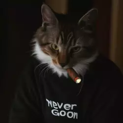 cool-feline-furry-cat-1740954128.webp
