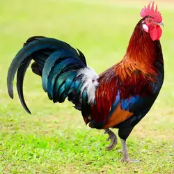 1745324737769.webp