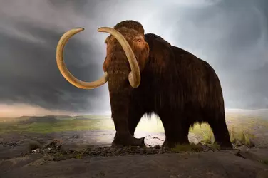 Woolly_mammoth_model_Royal_BC_Museum_in_Victoria.webp