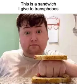 transphobesBTFO.webp
