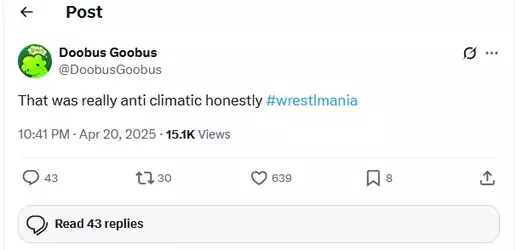 wrestlemania41.webp