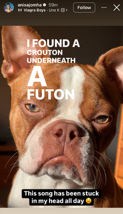 anisa crouton 01.webp