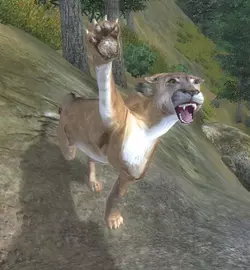 Mountain_lion.webp