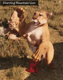 Mountainlionremaster.webp