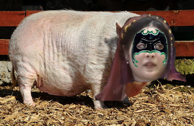 Hurripig.webp