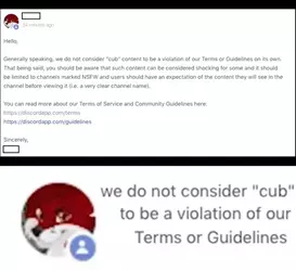 discord-furry-mod-abuse.webp